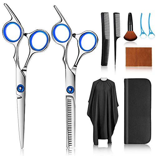 Hair Cutting Scissors Kits, 10 Pcs Stainless Steel Hairdressing Shears Set Professional Thinning Scissors For Barbers